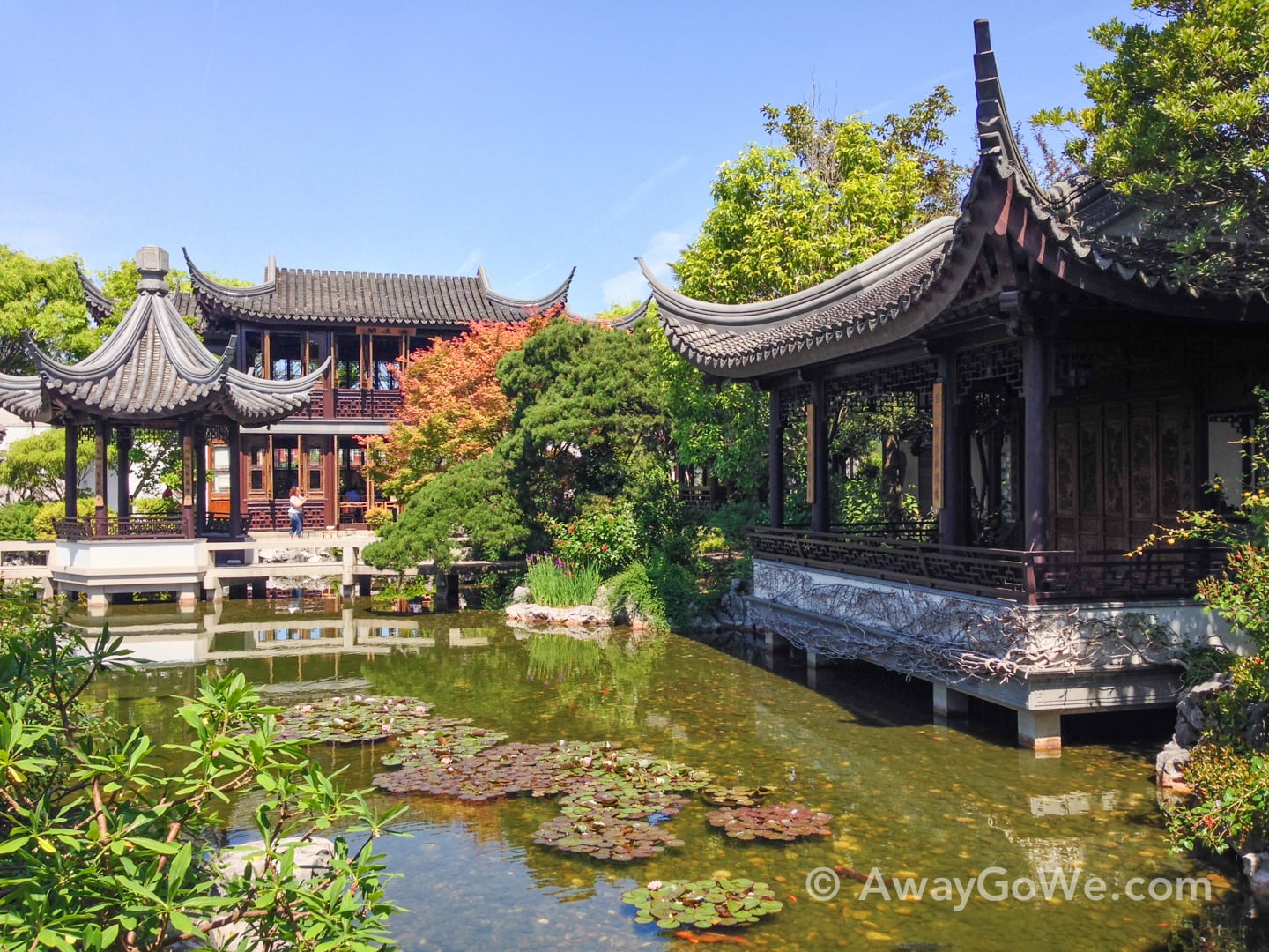 Lan Su Chinese Garden Lake Zither Portland