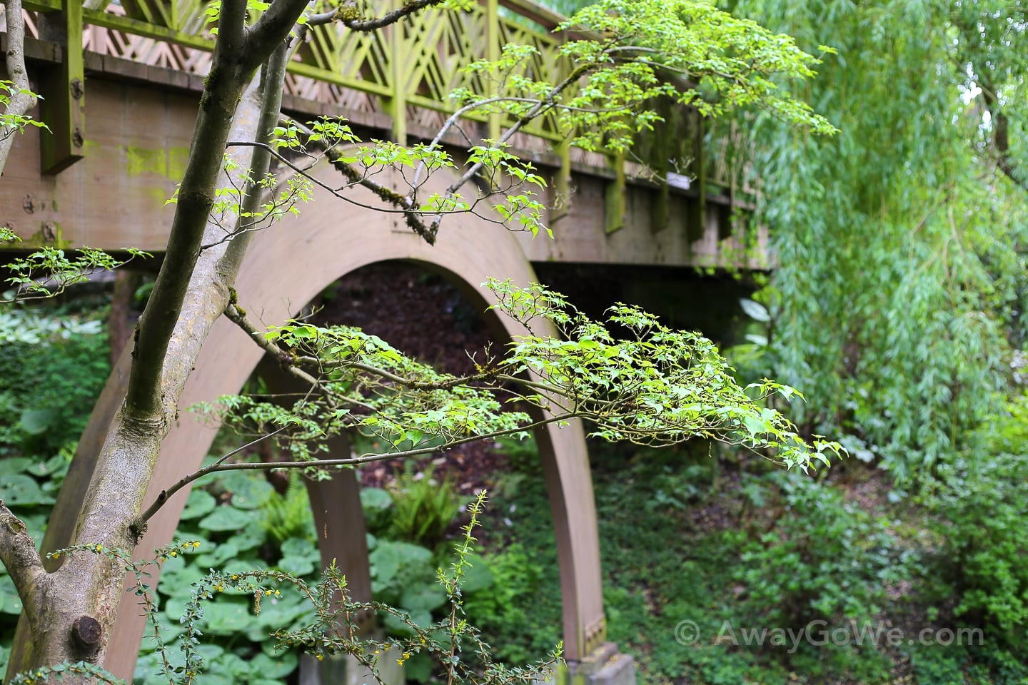 old bridge at Crystal Springs Rhododendron Garden Portland Oregon