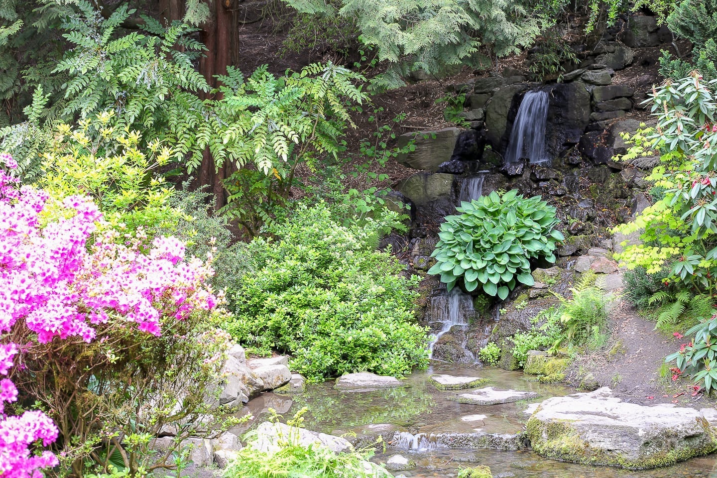 waterfall at Crystal Springs Rhododendron Garden Portland Oregon