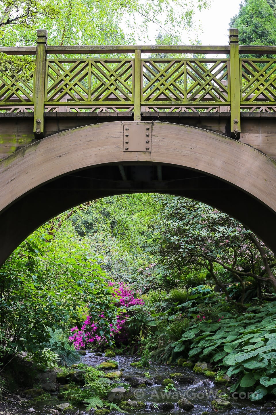 arched bridge in garden