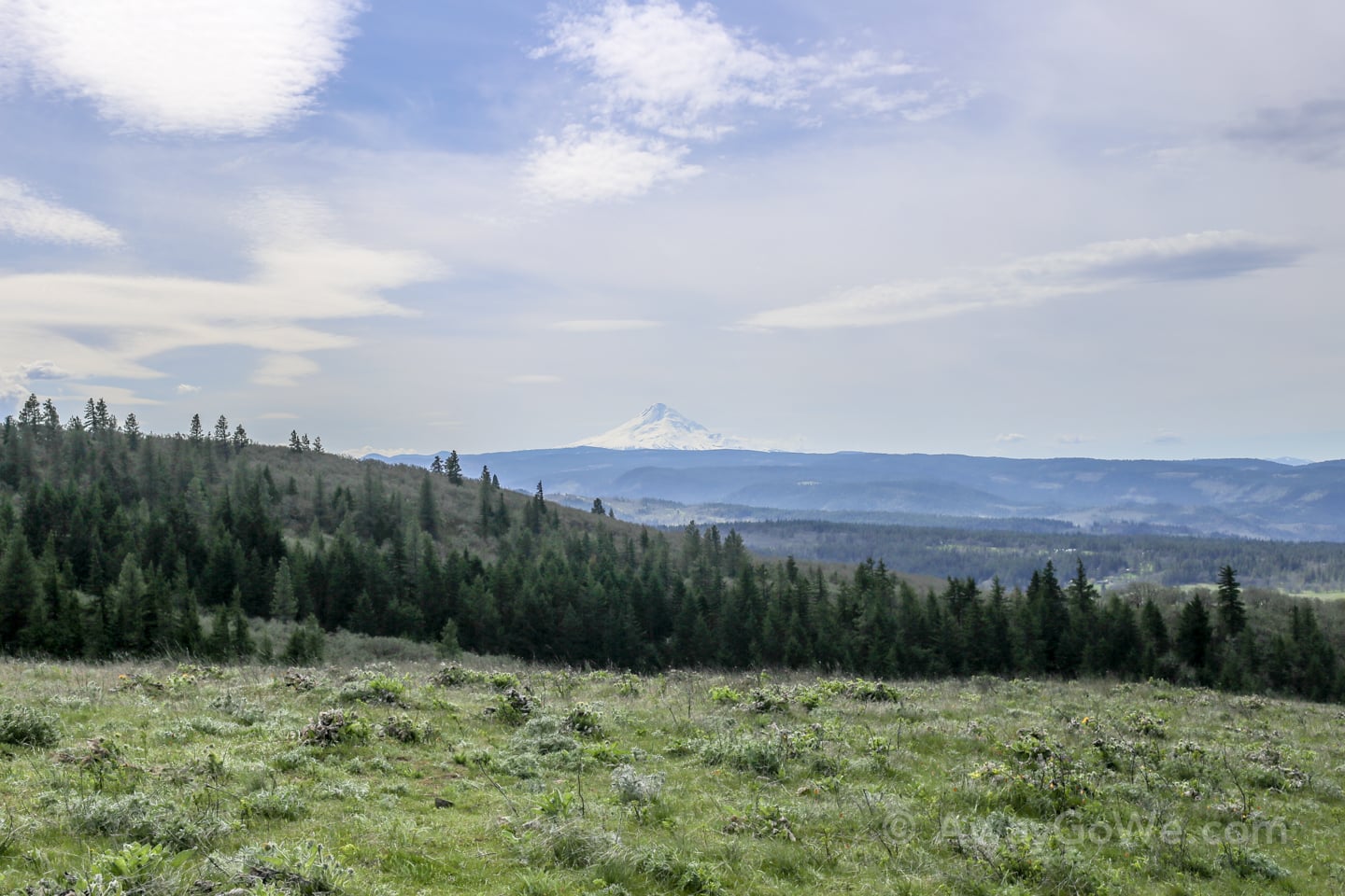 snowcapped mountain Tom McCall Point hike