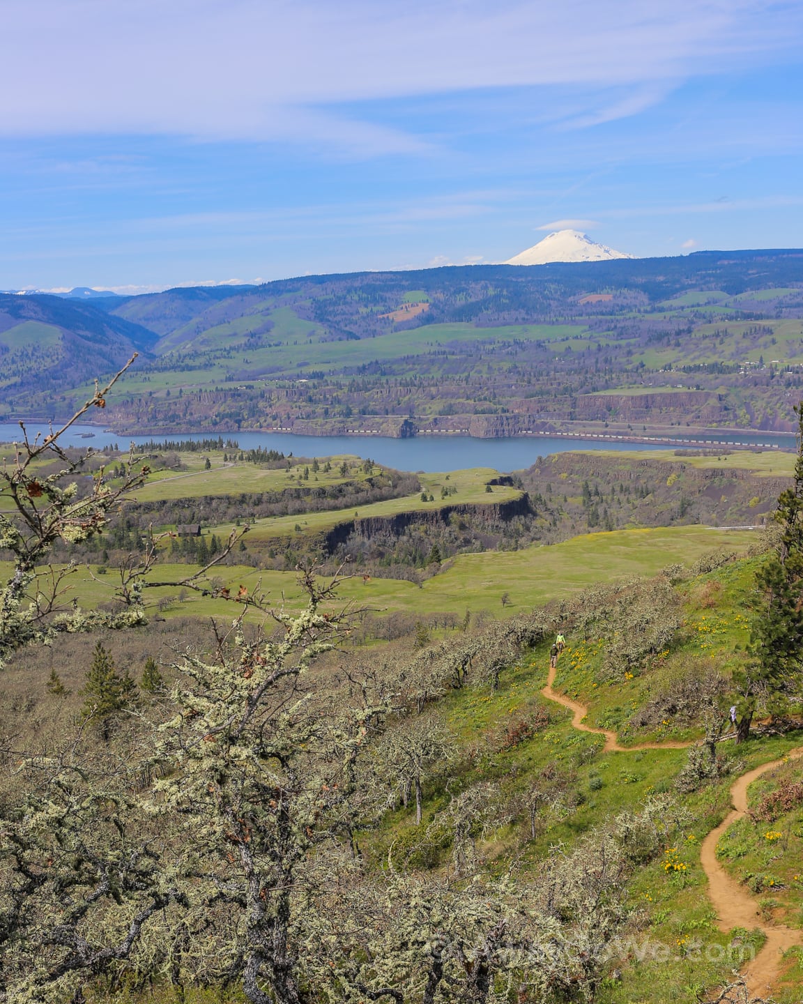 snowcapped mountain Tom McCall Point hike