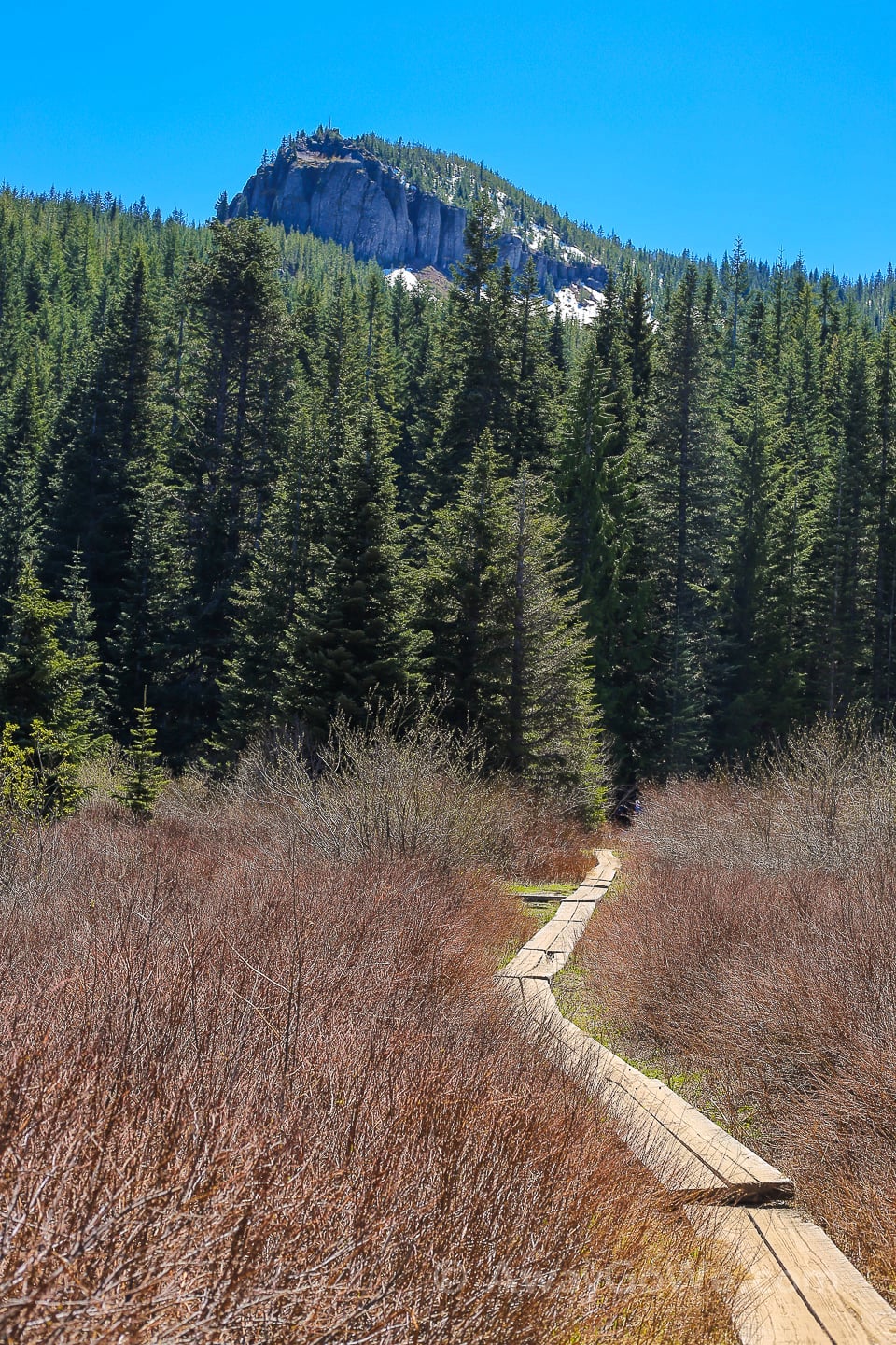 mirror lake trail government camp oregon