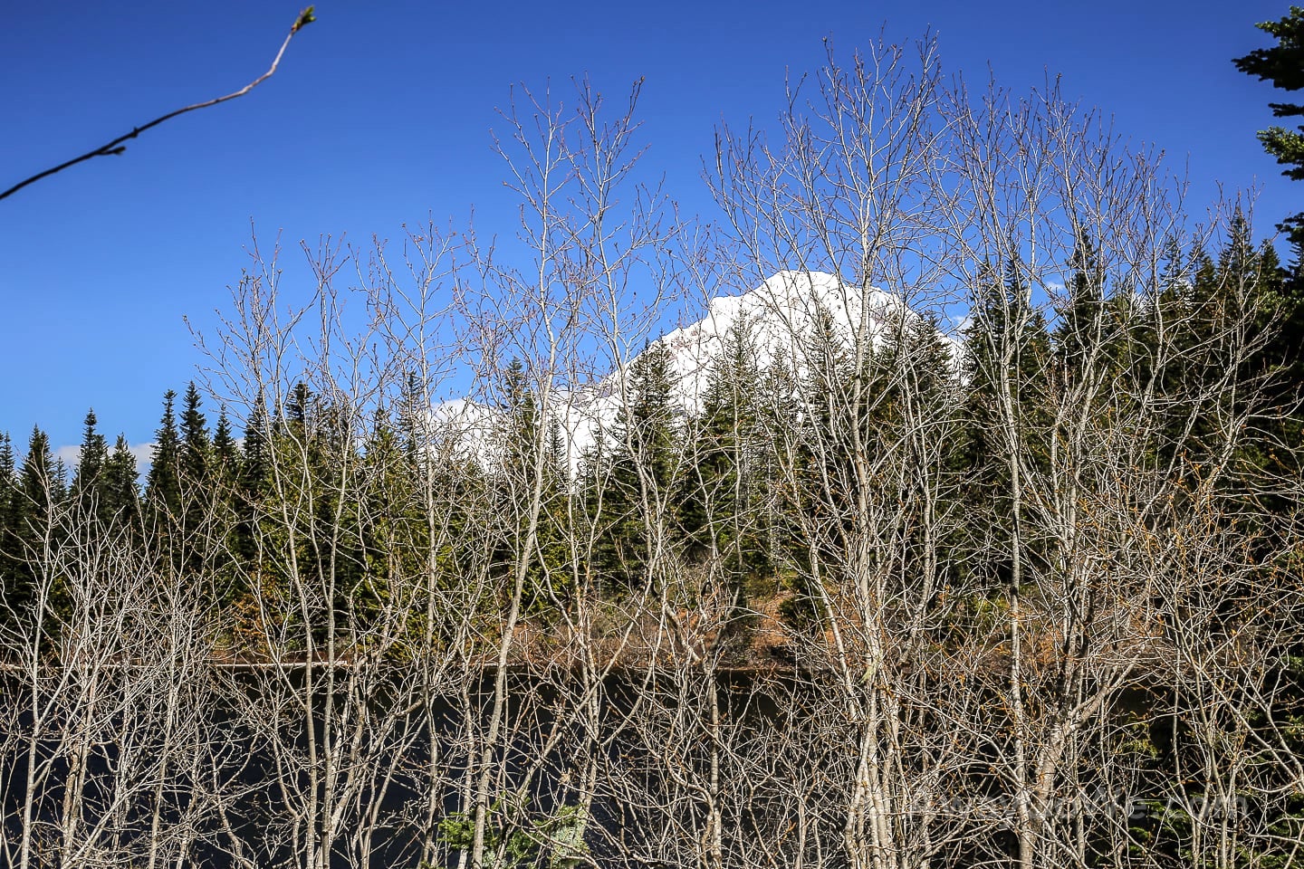 Mirror Lake trail hike