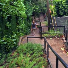 Alameda Ridge and stairs Portland