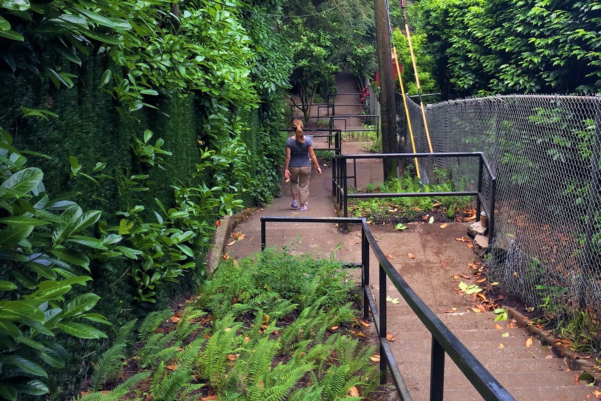 Alameda Ridge and stairs Portland
