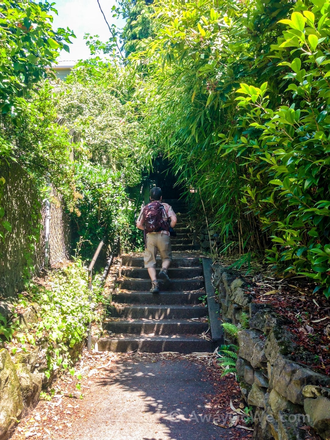 mounting Portland Oregon's historic Alameda Ridge stairs