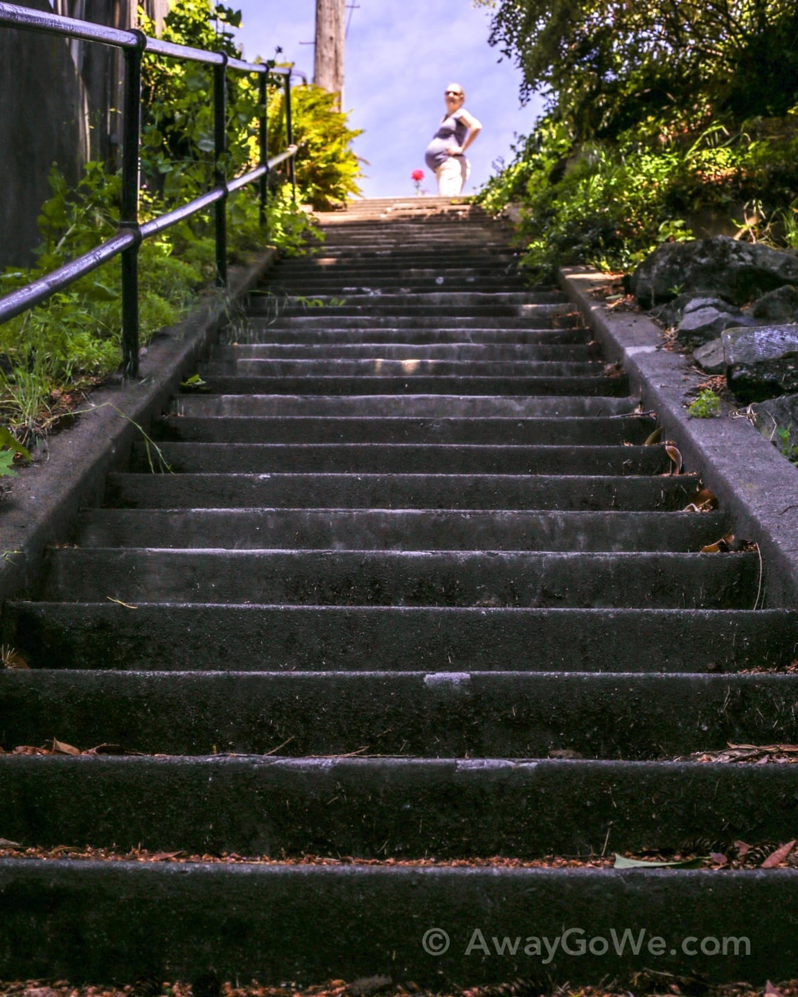 Alameda Ridge stairs in Portland Oregon