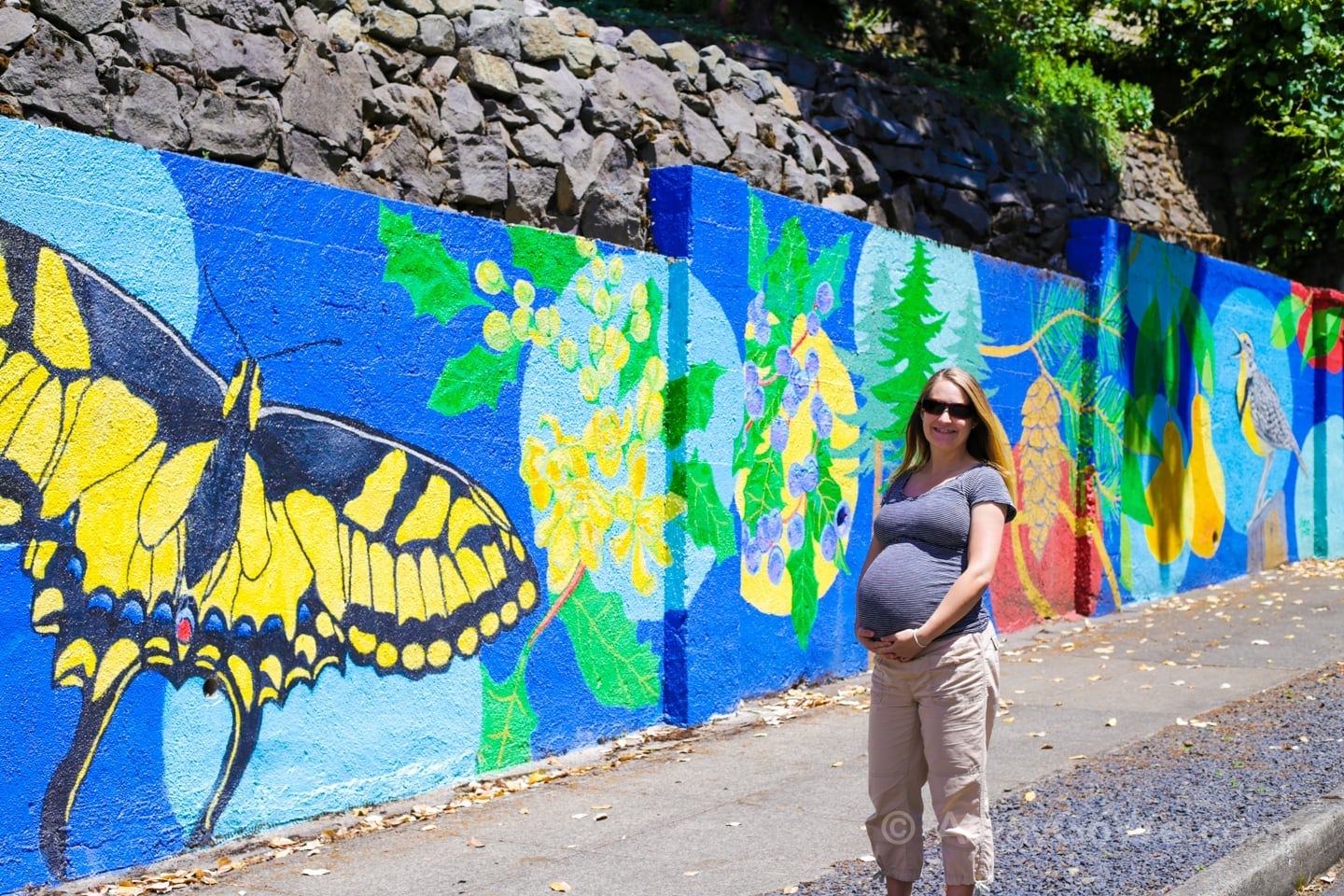 Alameda Ridge stairs in Portland Oregon murals