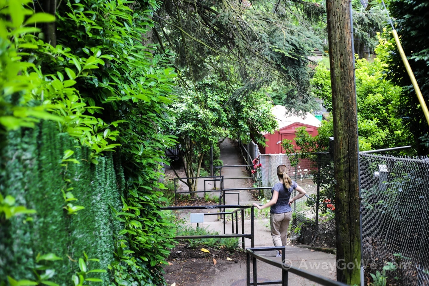 Alameda Ridge stairs in Portland Oregon