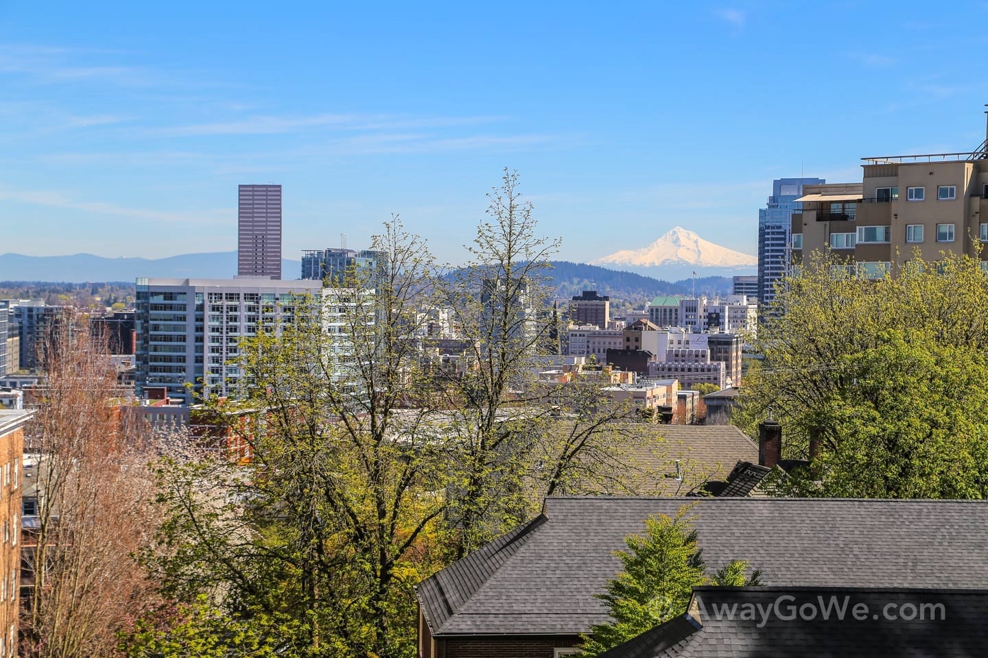 View of Mount Hood from Washington Park Portland Oregon