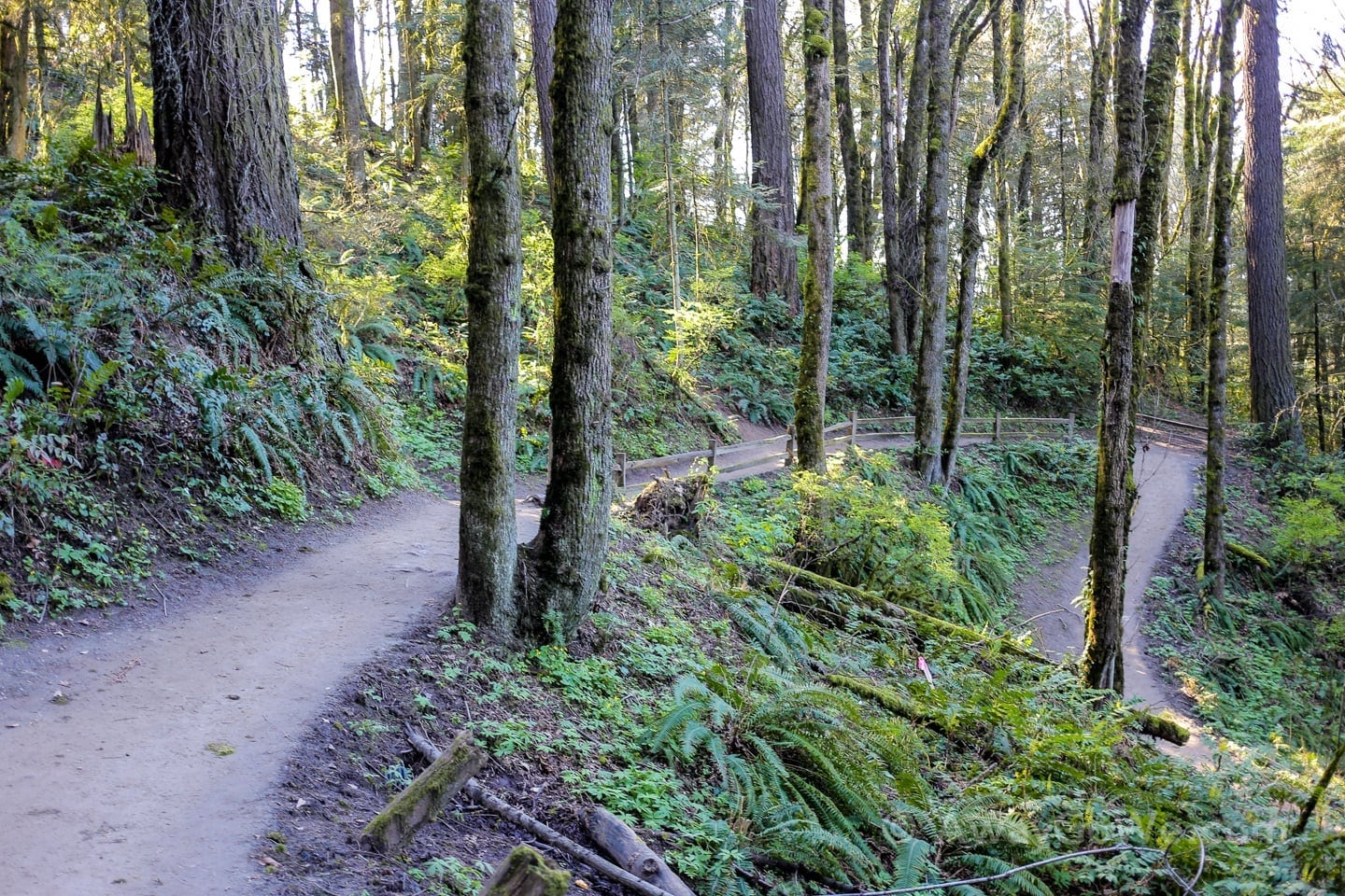 Pittock Mansion hike Wildwood Trail Portland Oregon