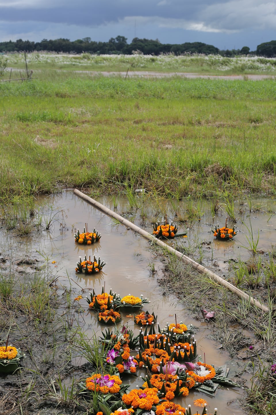 Laos Boat Racing Festival