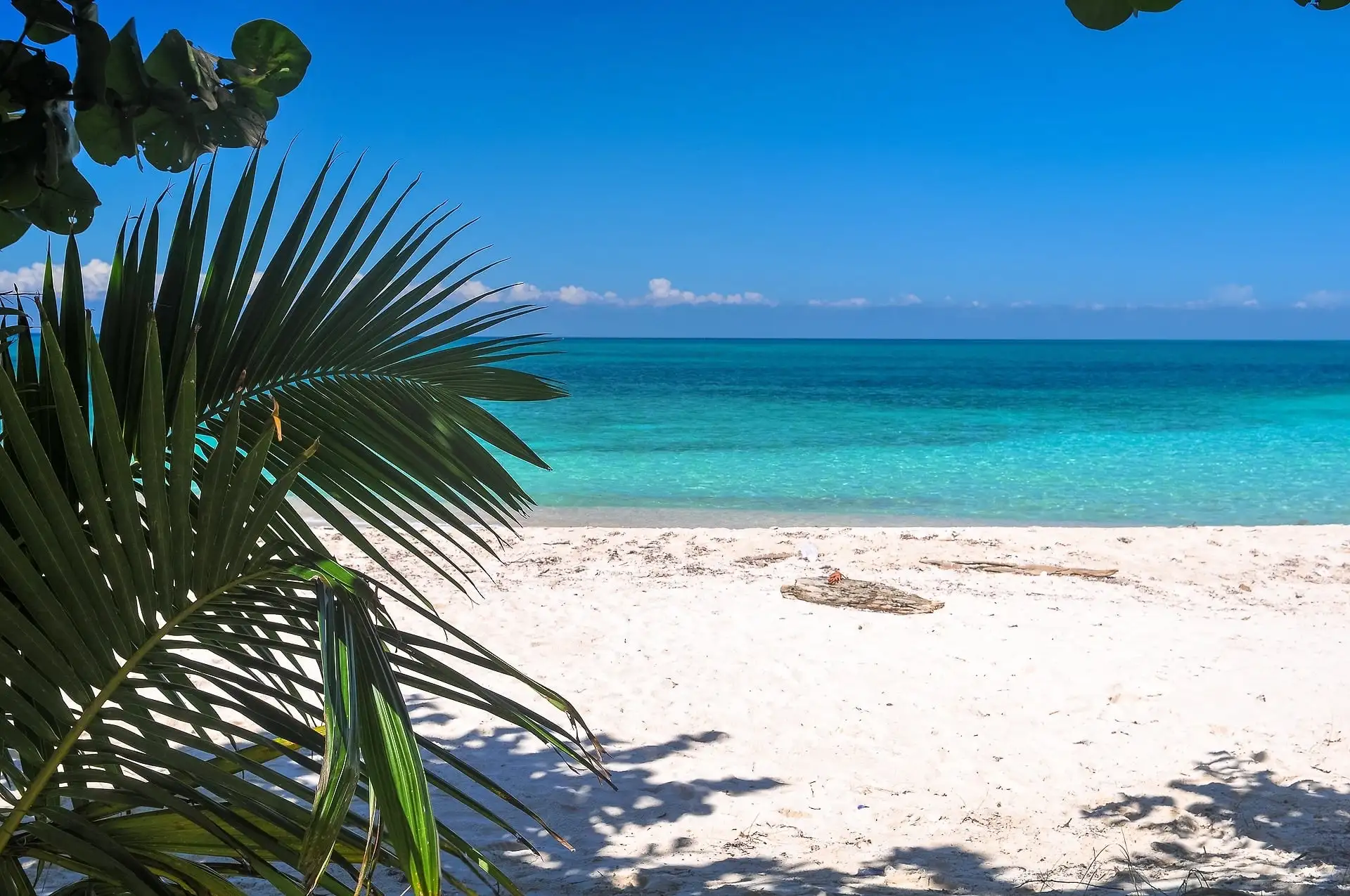 Lime Caye, Belize | The Ultimate Off-Grid Island Escape