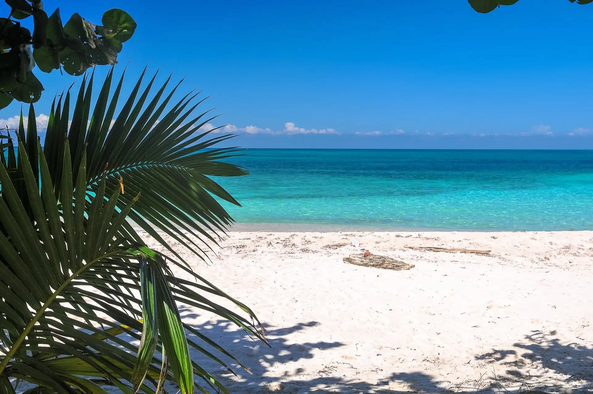 Lime Caye Sapodilla Cayes Belize