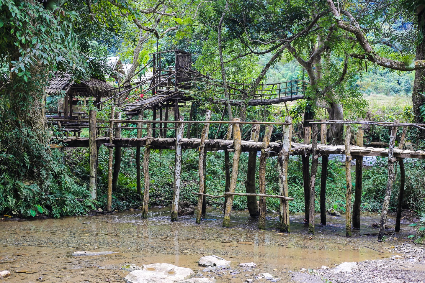 log bridge across a stream in Muang Ngoi Neua Laos