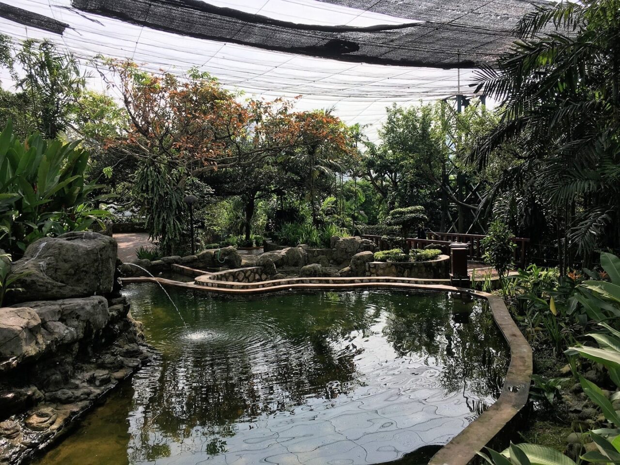 KL Bird Park Visitor