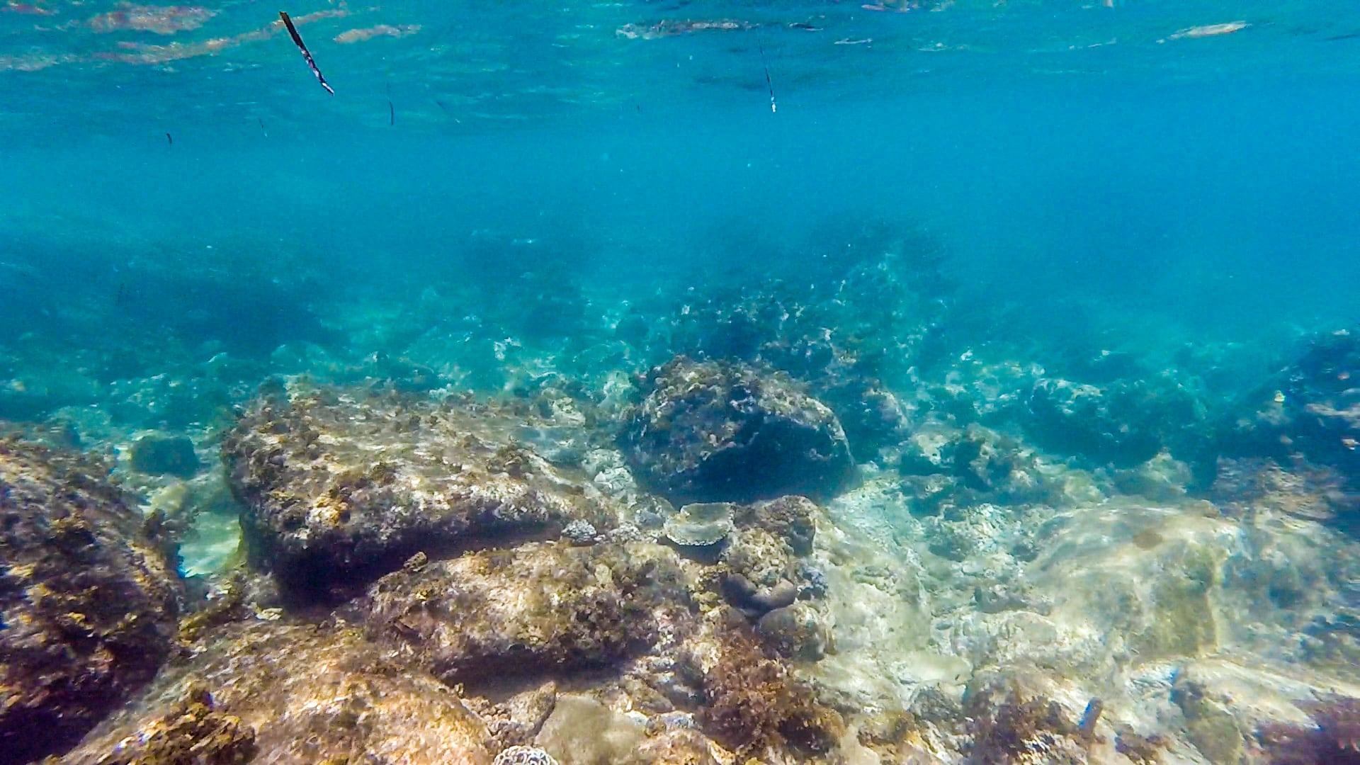 Pandan Pandan Island (Borneo) snorkeling