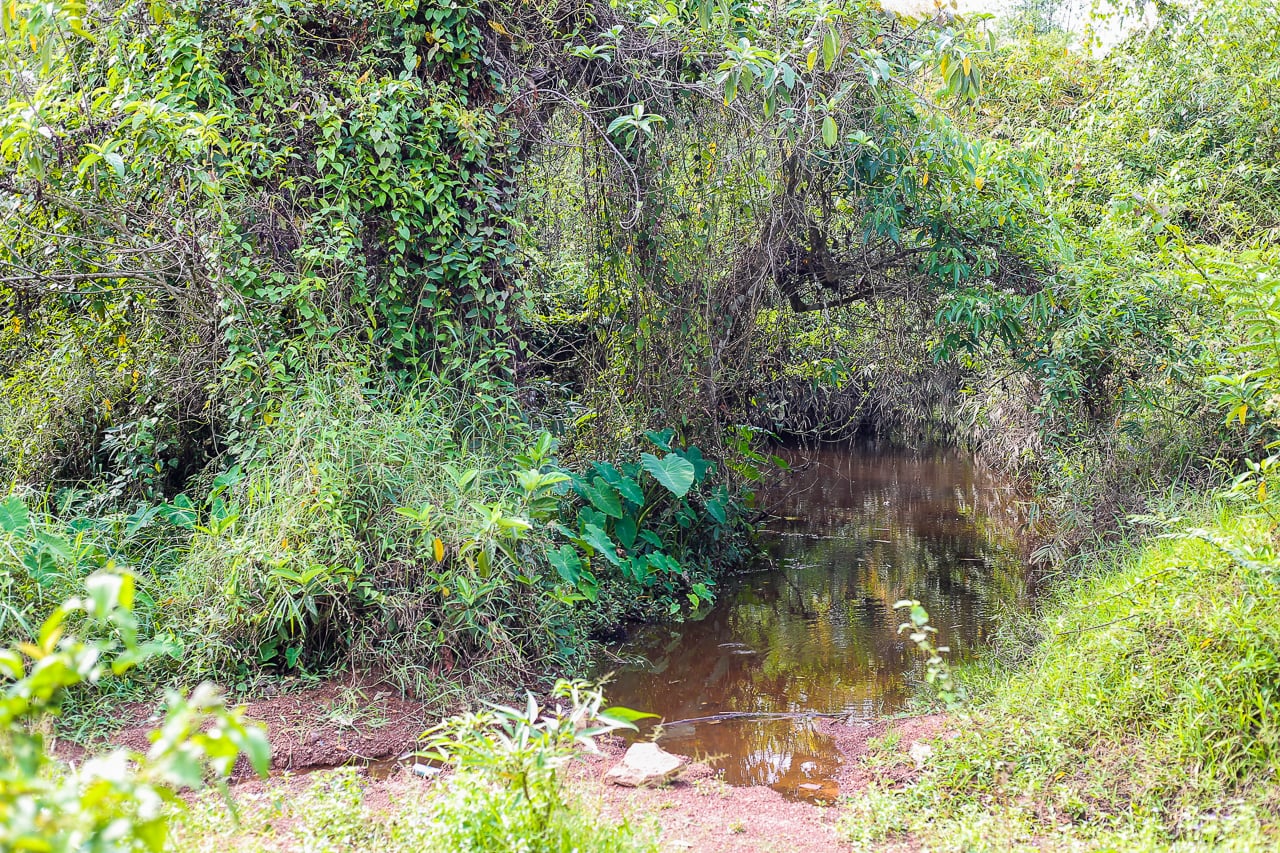 hiking phou phanang vientiane laos