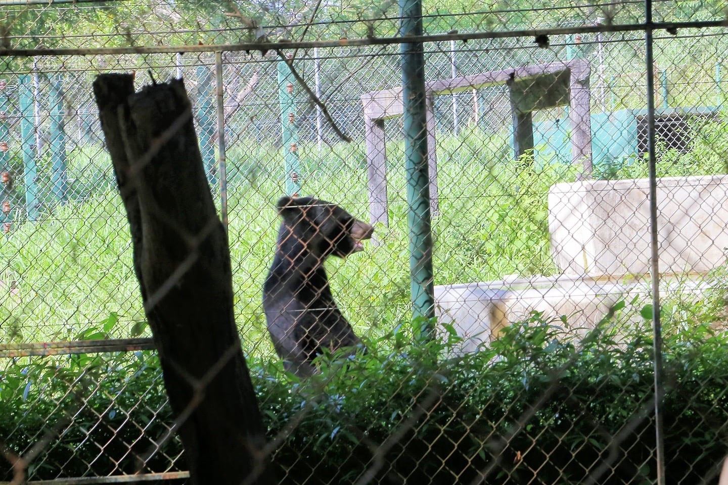 Lao Zoo