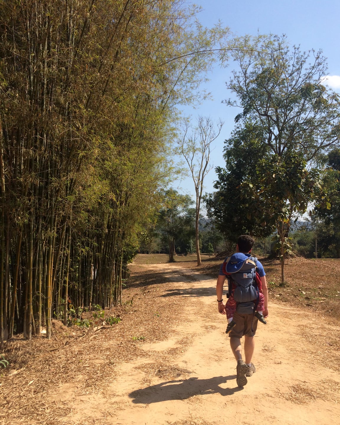 walking near bamboo with baby