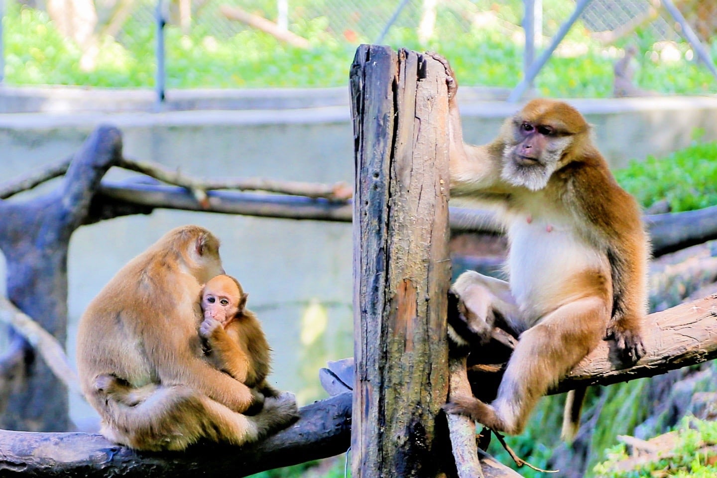 Day Trips from Vientiane
