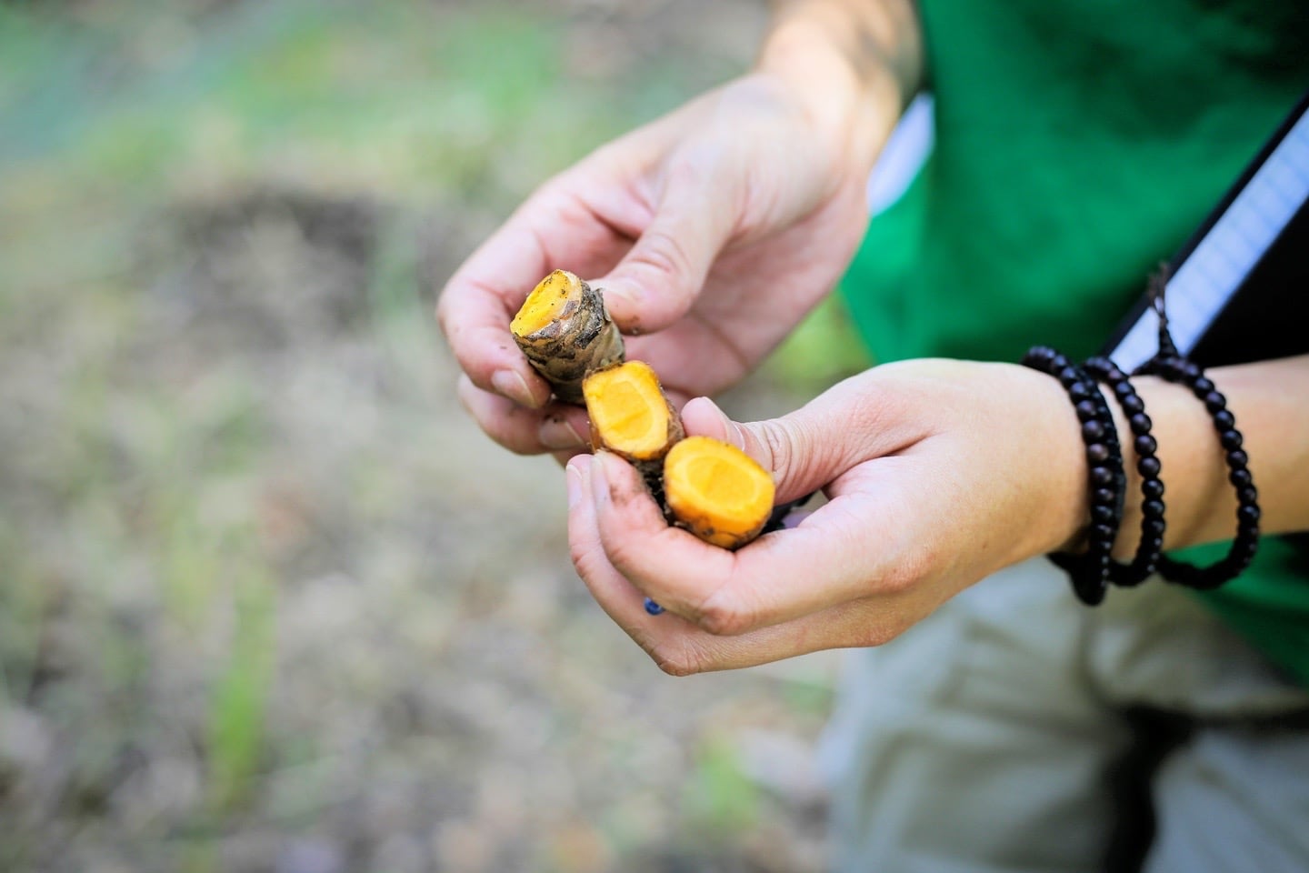 produce from organic farm