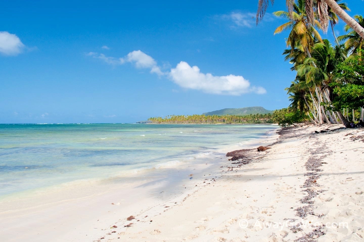 white sands beach las galeras dominican republic