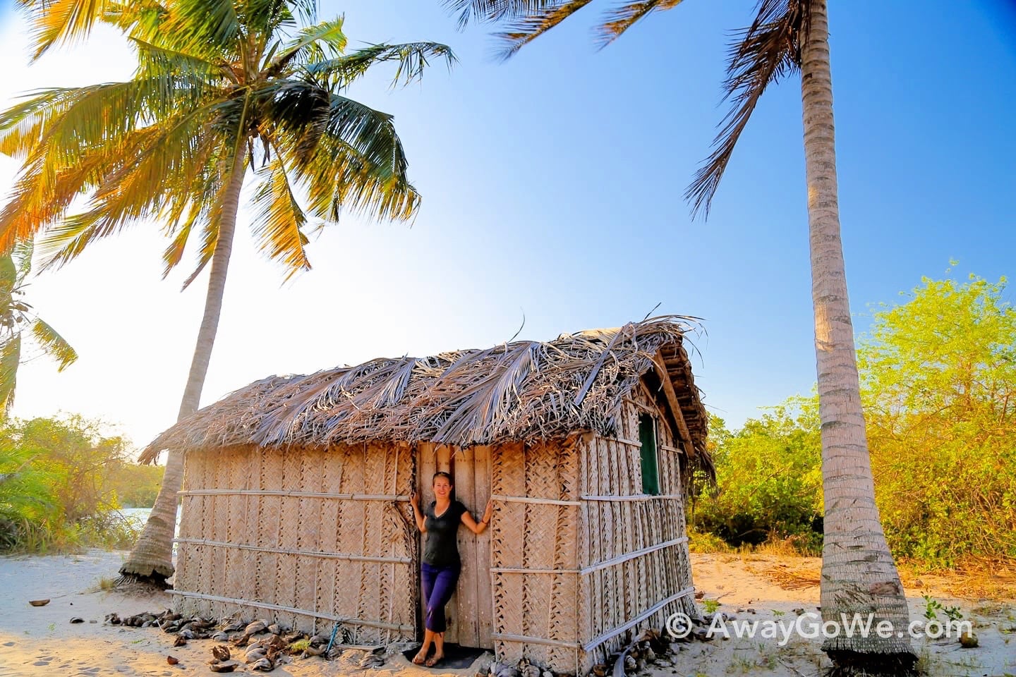 thatch beach bungalow palm trees