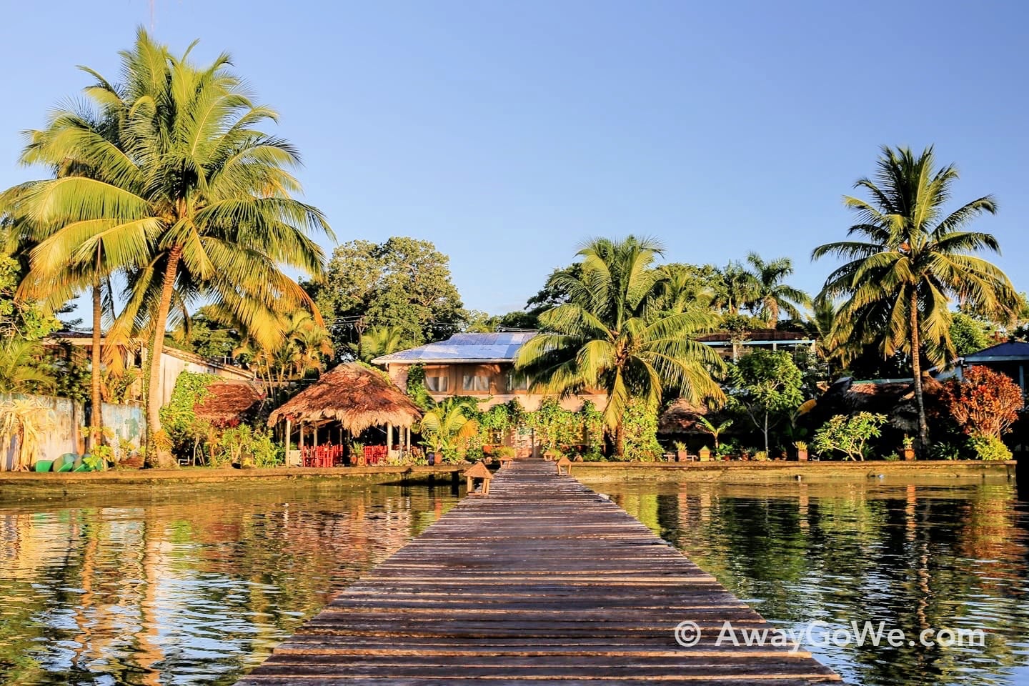 dock on water with palm trees