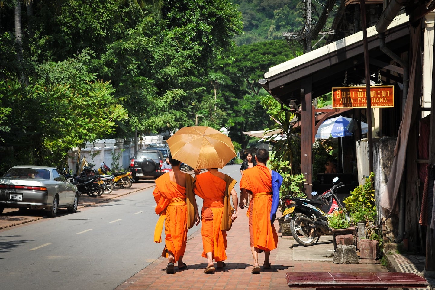 saffron-clad monks walking down road