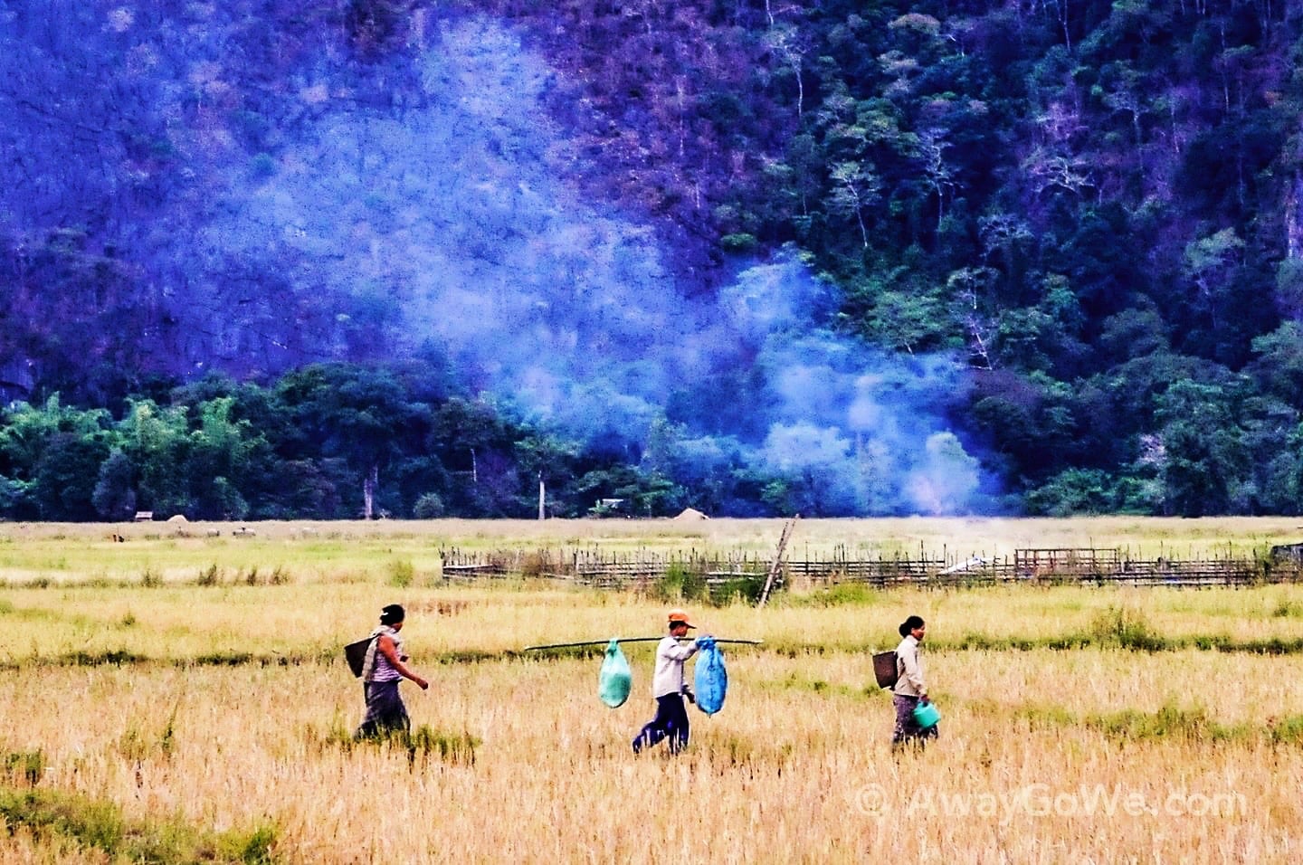 farmers in a field in Laos