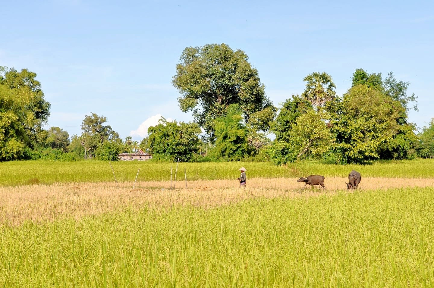 unplug visit laos