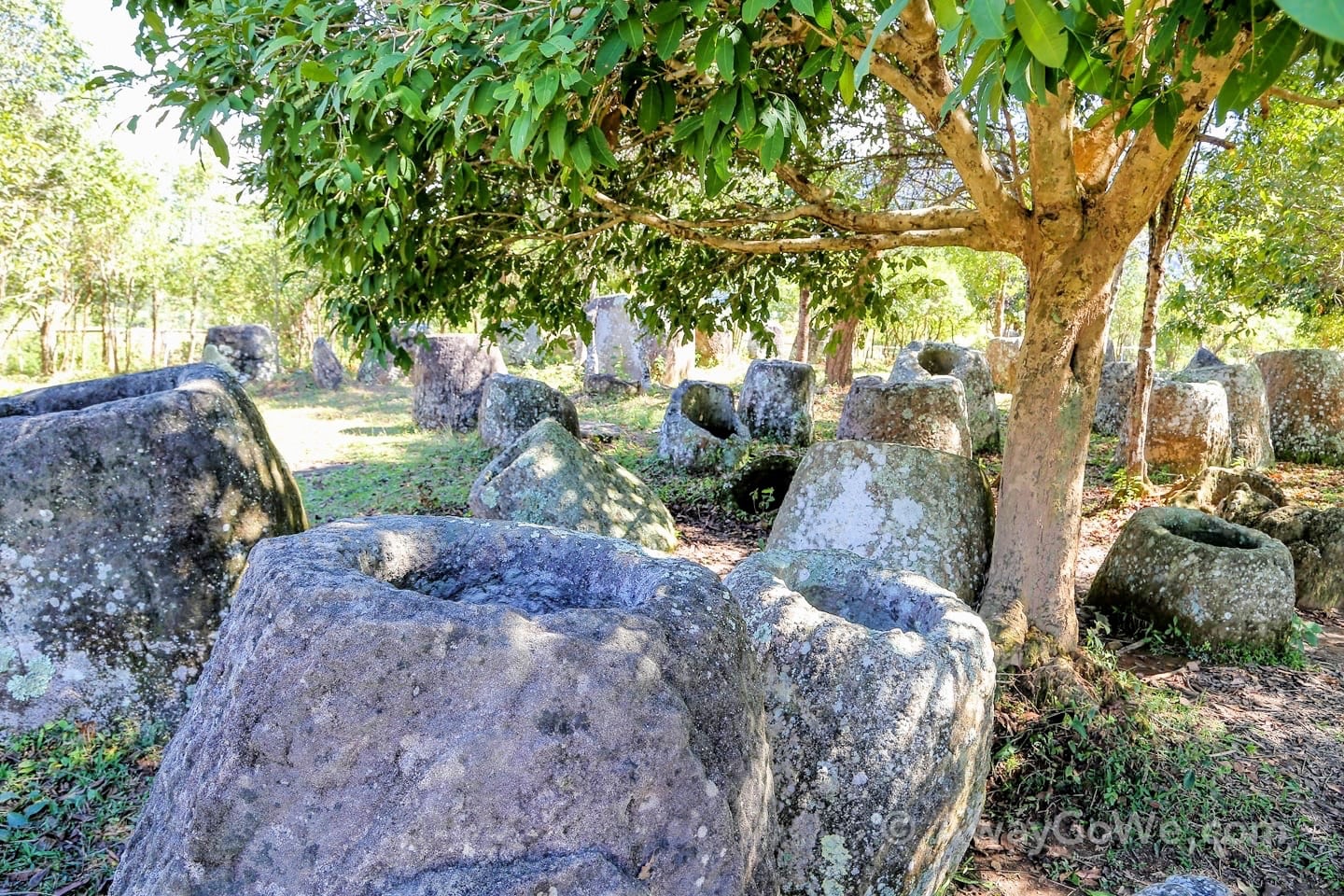 plain of jars