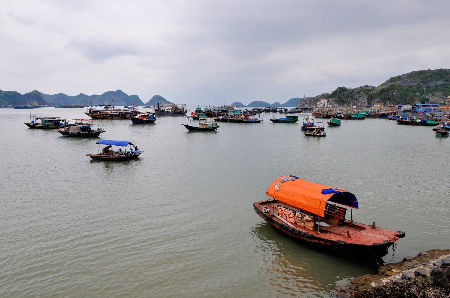 Cat Ba Town harbor vietnam
