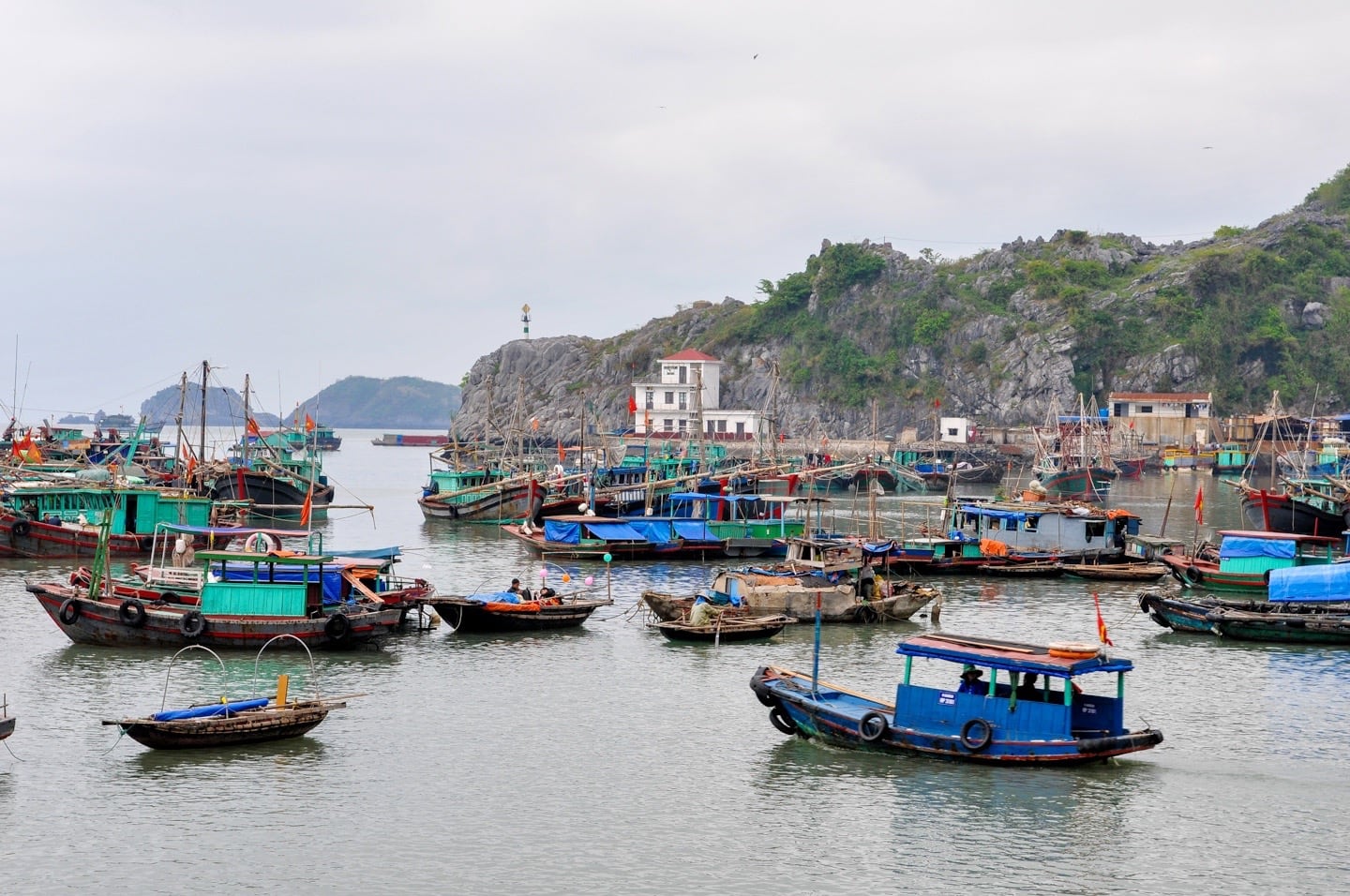 cat ba town harbor vietnam