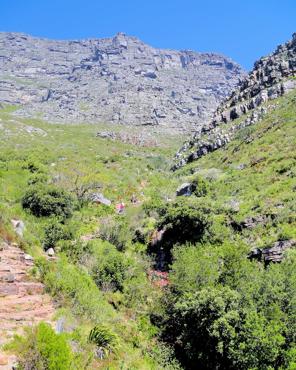 Platteklip Gorge Table Mountain Cape Town