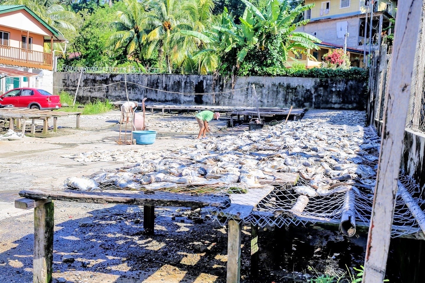 Drying fish in Guatemala