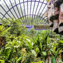 Entopia by Penang Butterfly Farm Malaysia