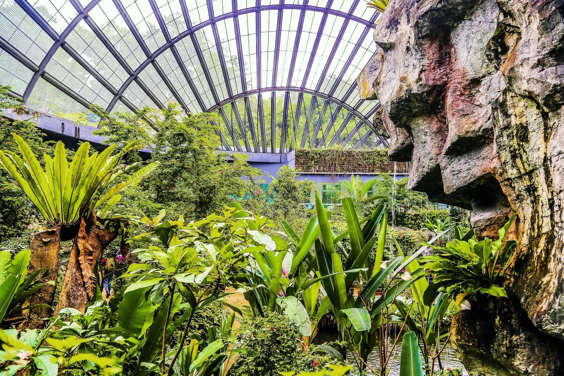 Entopia by Penang Butterfly Farm Malaysia