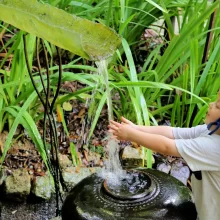 Penang Tropical Spice Garden