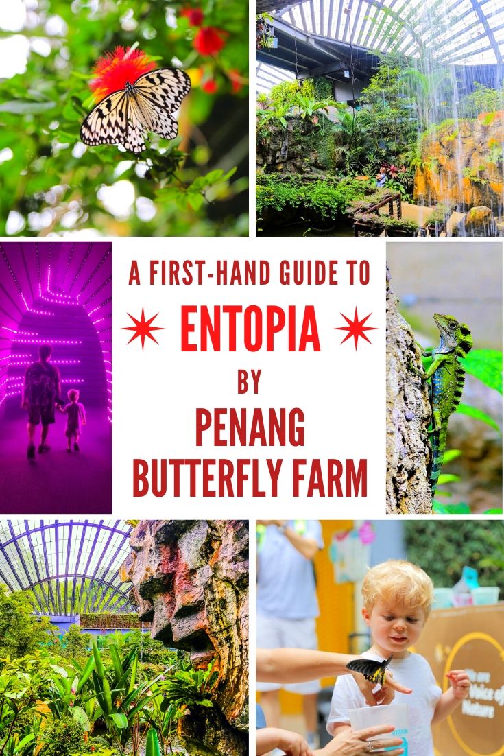 Entopia by Penang Butterfly Farm Malaysia