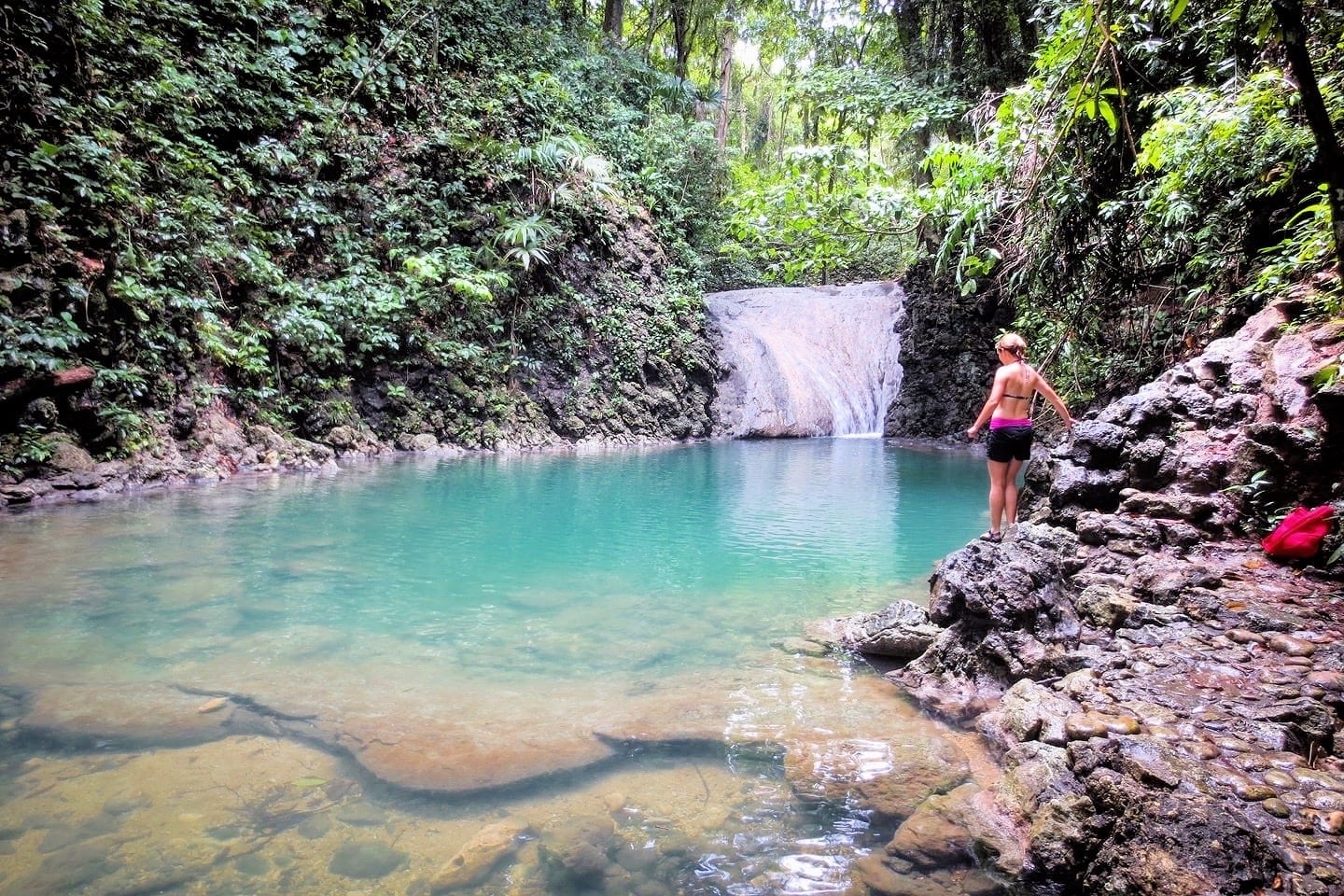 waterfall and pool in jungle