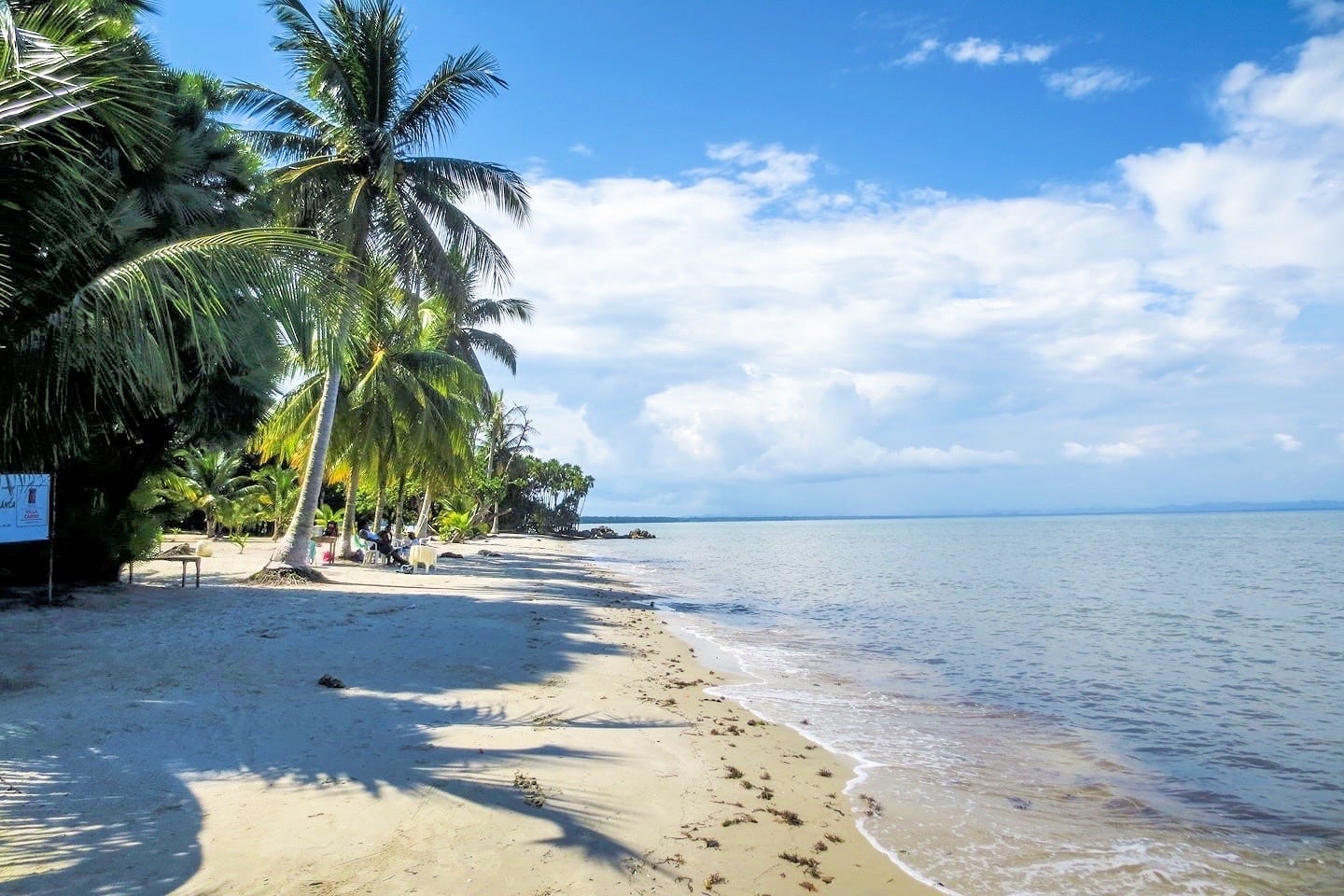 white sands beach with palms