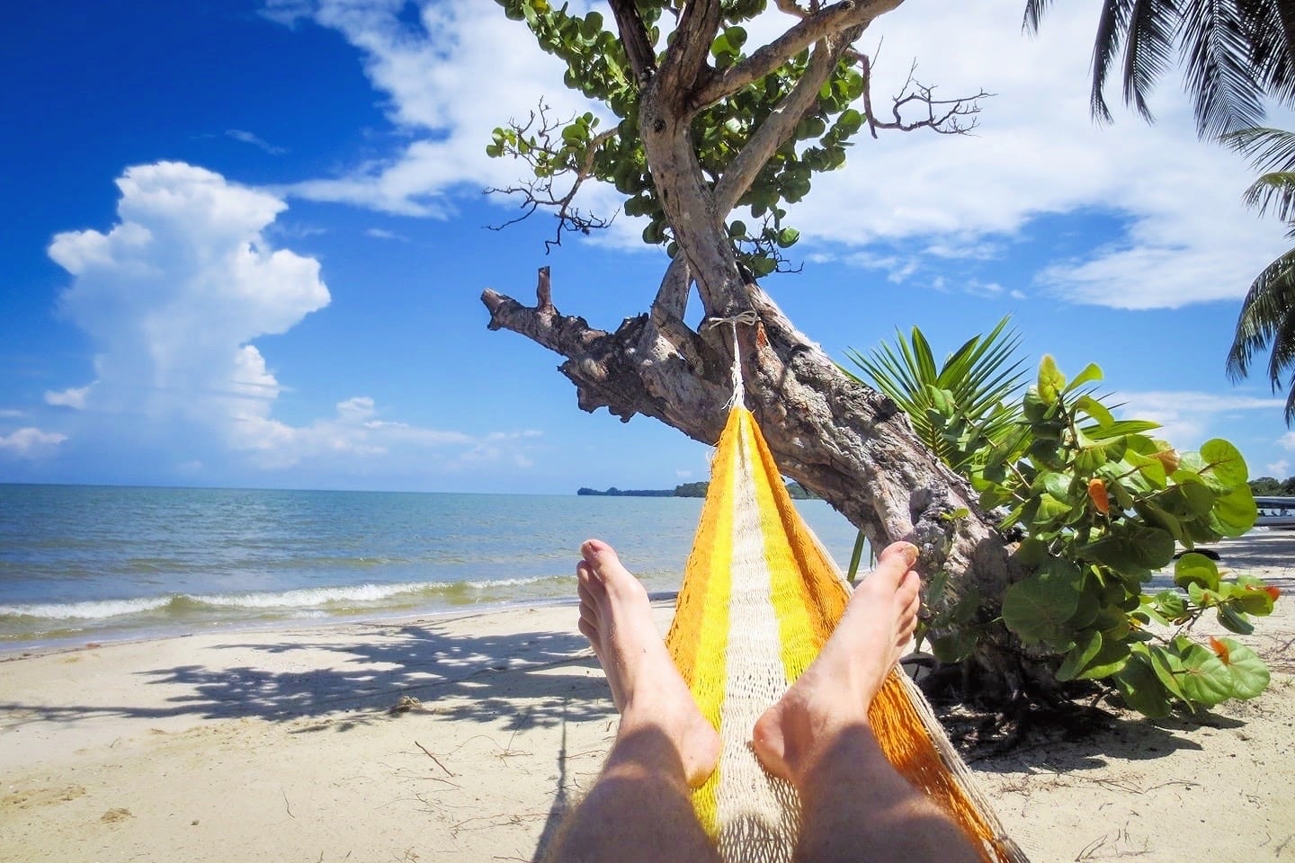 hammock by the tropical sea