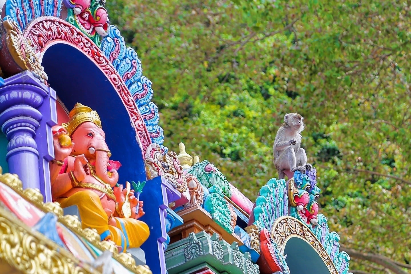 Monkey on colorful Hindu shrine in Malaysia