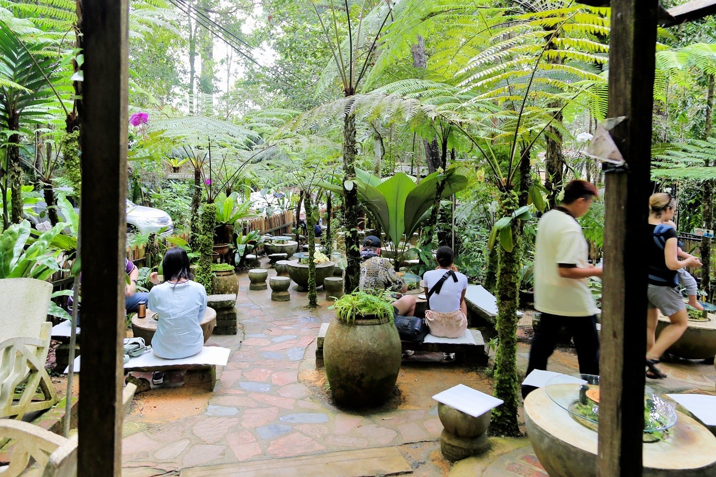 Monkey Cup Kopi Hutan coffee on Penang Hill Malaysia people at an outdoor coffee shop