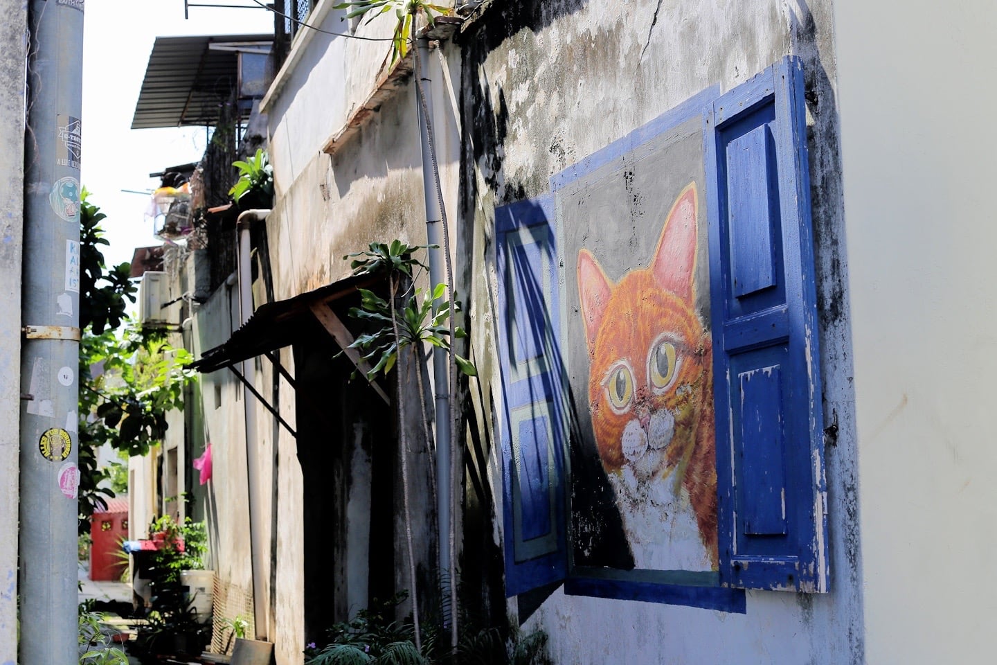 cat in window George Town Penang Street Art