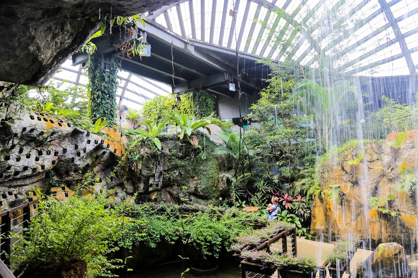 exploring Entopia by Penang Butterfly Farm