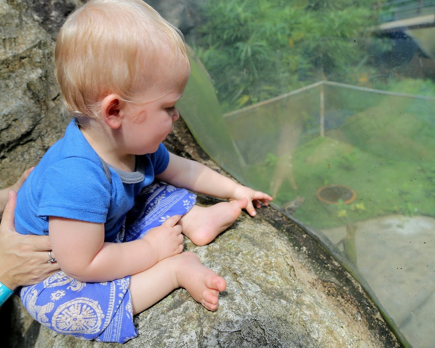 Entopia by Penang Butterfly Farm Malaysia